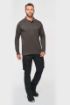 Image de Sweat-shirt col polo homme