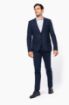 Image de Veste de costume homme