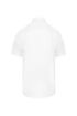 Image de Chemise micro-sergé manches courtes sans repassage