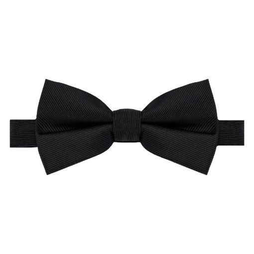 Image de Noeud papillon