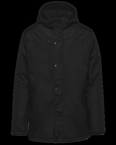 Image de Parka avec capuche amovible homme