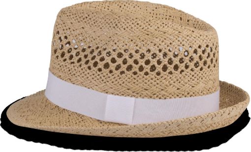 Image de Chapeau style Panama