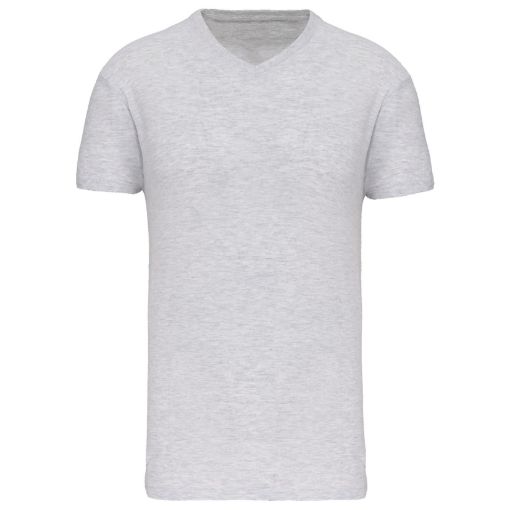 Image de T-shirt Bio150 IC col V homme