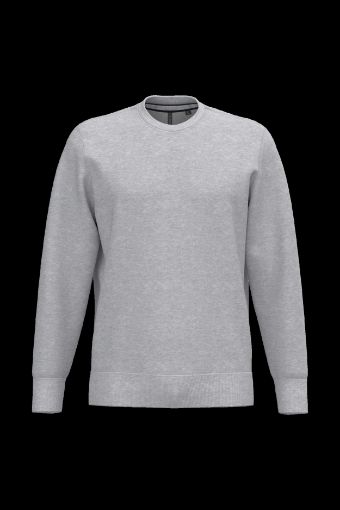 Image de Sweat-shirt col rond homme