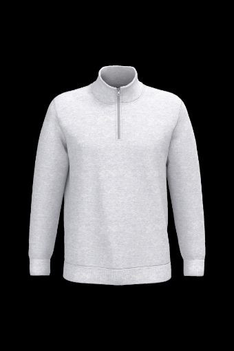 Image de Sweat-shirt col zippé homme