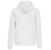 Image de Sweat-shirt zippé capuche unisexe