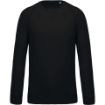 Image de Sweat-shirt Bio col rond manches raglan homme
