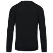 Image de Sweat-shirt Bio col rond manches raglan homme