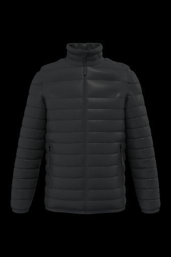 Picture of Men's padded jacket