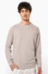 Picture of Men's organic cotton crew neck raglan sleeve sweatshirt