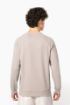 Picture of Men's organic cotton crew neck raglan sleeve sweatshirt