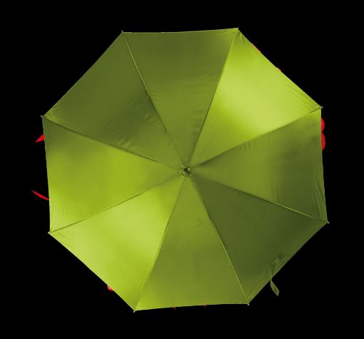 Bild von Automatischer Regenschirm