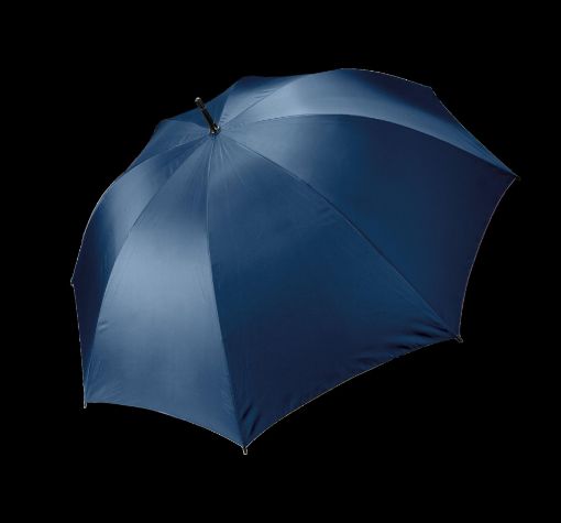 Bild von Sturmfester Regenschirm