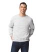Bild von Dryblend  Classic Fit Adult Crewneck Sweatshirt®