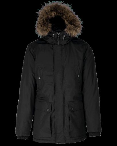 Image de Parka grand froid