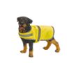 Image de Gilet réfléchissant pour chien