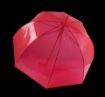 Bild von Transparenter Regenschirm