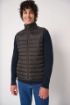 Bild von Herren gestepptes Bodywarmer
