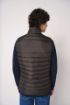 Bild von Herren gestepptes Bodywarmer