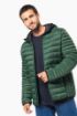 Bild von Leichte Herren-Steppjacke mit Kapuze